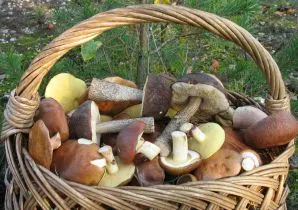Консультація для батьків