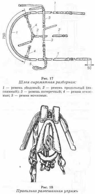 ham de cal și șa