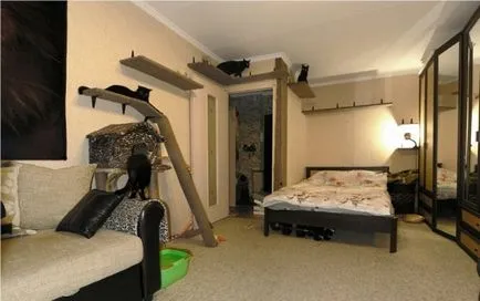 котячий будинок