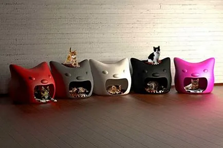 котячий будинок