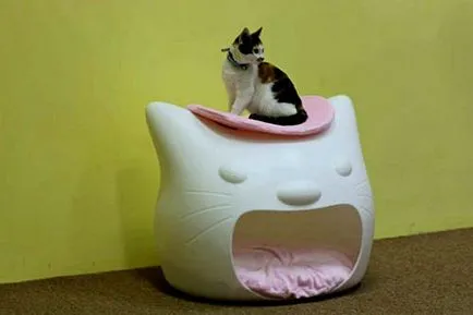 котячий будинок