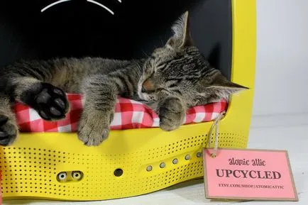котячий будинок