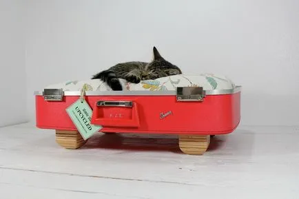 котячий будинок