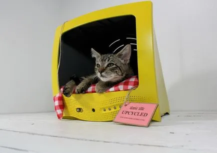 котячий будинок