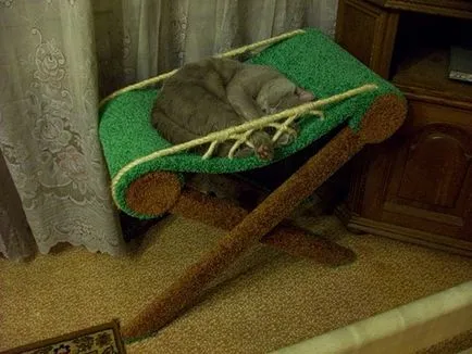 котячий будинок