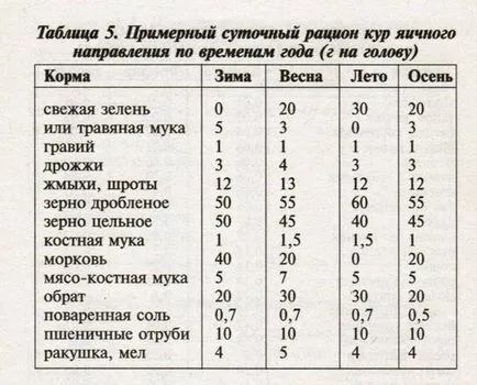 Хранене на кокошки носачки, препоръките за прием на домашни птици