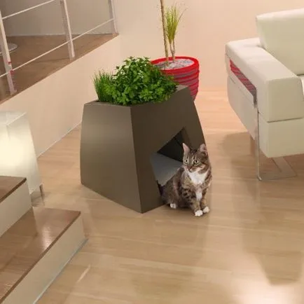 котячий будинок