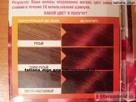 păr vopsea de culoare garnier - afinele sălbatice - (foto)“, recenzii ale clientilor