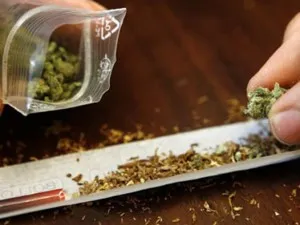 Fumatul de marijuana, marijuana consecințe dăunătoare ale fumatului konopoli