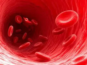 Sângele se referă la un țesut, și de ce