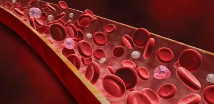 Кръв се отнася до тъканите и защо