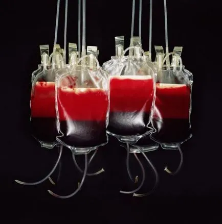 Кръв се отнася до тъканите и защо