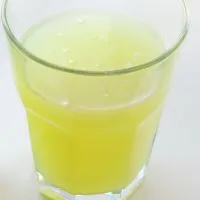 квас Болотова