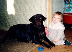Labrador și copil