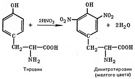 Lab 7