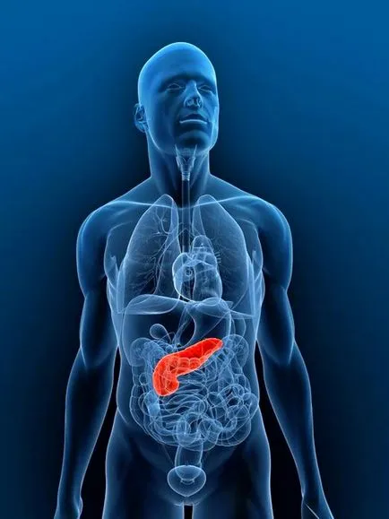 Tratamentul și prevenirea remedii populare pancreatice