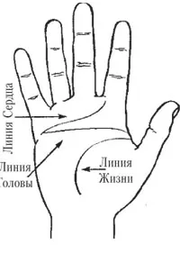 Линия на сърцето в дланта на ръцете си