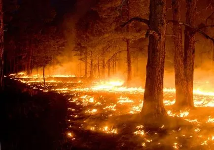 Incendiile tipuri și clasificare