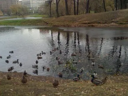 Lefortovo Park Moszkvában