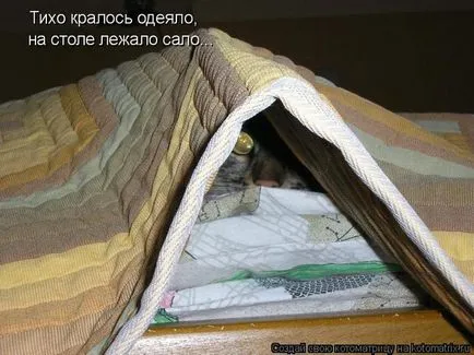 лікування салом