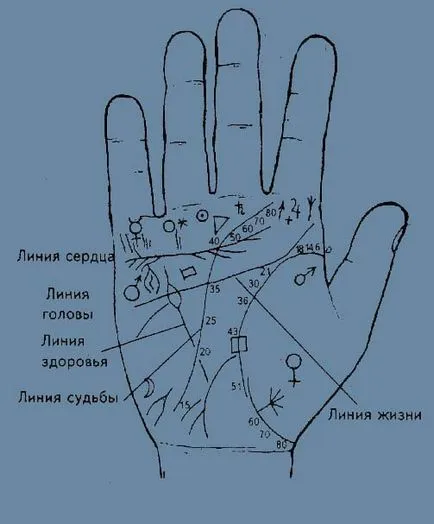 Линия на сърцето в дланта на ръцете си