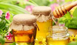 Медът - царска кадифе полезни свойства, състав