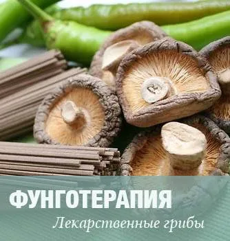 Calendula маз - полезни свойства и указания за употреба