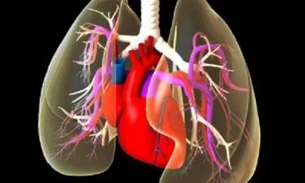 Lung метастази прогноза и лечение