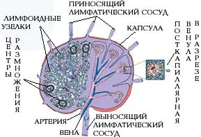 Млечният - плавателни съдове, както и други мистериозни агенции, науката и живота