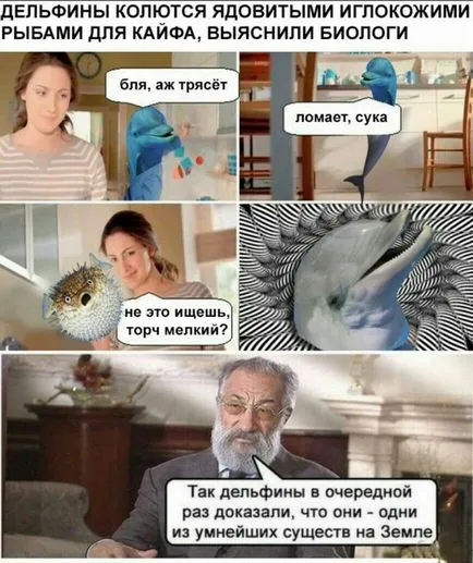 Мобільні знайомства на