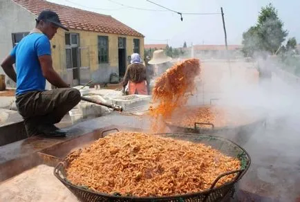 Este posibil pentru a da un crevete pisică