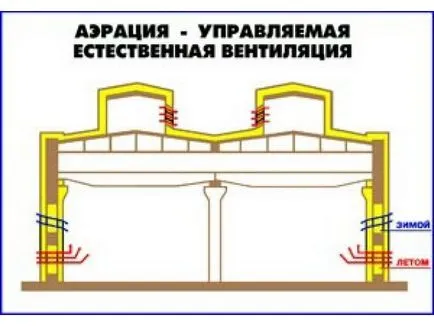 Мос на поляната, за да се отървете от причината и означава, как да се справяме