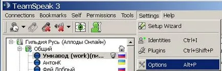 Configurarea Teamspeak