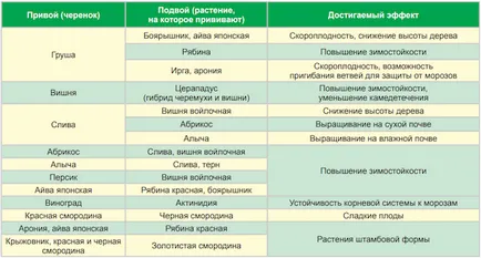 Необичайни ваксинация - че е възможно да внуши