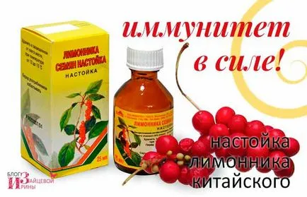 Настоянка лимонника китайського (днів темному місці) Настоянка лимонника китайського