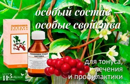 Настоянка лимонника китайського (лимонника) Настоянка лимонника китайського