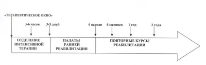Реабілітація (відновлення) після інсульту - в домашніх умовах, геморагічного та ішемічного (відновлення) Реабілітація (відновлення) після інсульту - в домашніх умовах, геморагічного та ішемічного