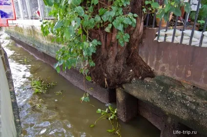 Річкові канали, Bangkok - або з вітерцем по клонгам! (Клонгам) Річкові канали, Bangkok - або з вітерцем по клонгам!