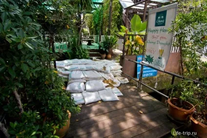 Річкові канали, Bangkok - або з вітерцем по клонгам! (Канали) Річкові канали, Bangkok - або з вітерцем по клонгам!