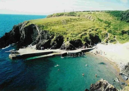 Реальна причина, по якій в ірландії немає змій (змій) Реальна причина, по якій в ірландії немає змій