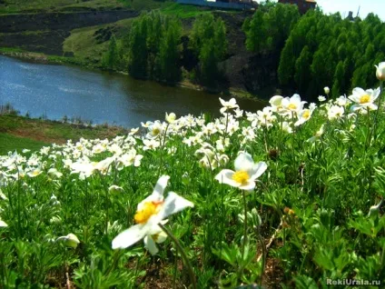 річка Ісеть