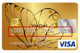 Numărul de carduri de credit Visa