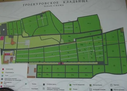 Суспільство некрополістов