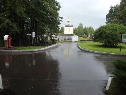 Суспільство некрополістов