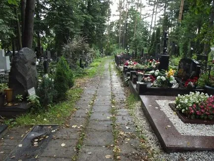 Суспільство некрополістов