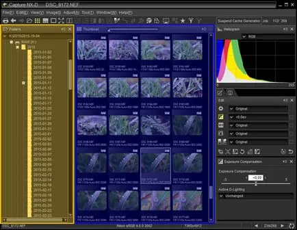 Обработка на сурови улавяне Nikon NX-г