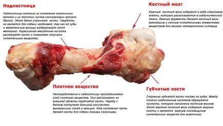 Один вдома
