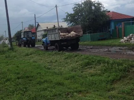 Омск потресен от масовото клане на прасета в региона