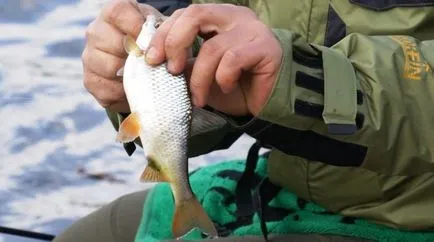 Особености клен риболов във водите на Сибир - хлебарки