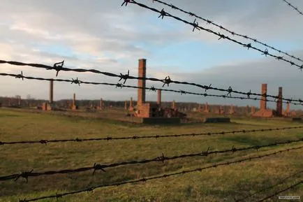 plăcuțe de înmatriculare pe - - Auschwitz site-ul puterii etichetat